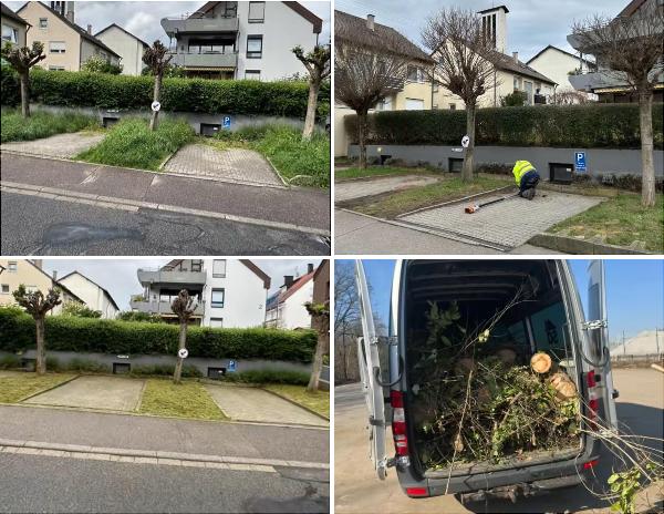 Vorher-Nachher-Vergleich von Gartenpflege in Stuttgart: Unkrautentfernung auf Parkplatz, Heckenschnitt und Transport von Gartenabfällen im Transporter.